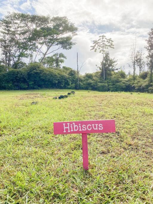 Hibiscus Hale, Full Kitchen, King Bed, Parking Appartement Keaau Buitenkant foto